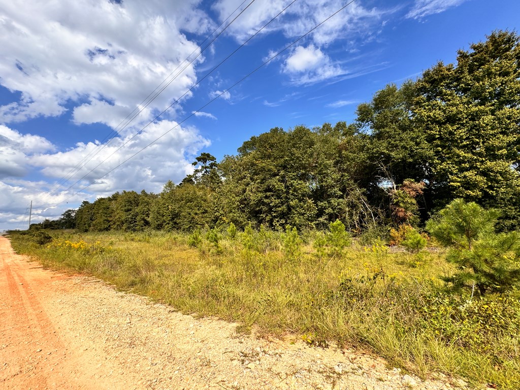 0 Hwy 123 & Co Road Ozark, AL 36360 - Photo 2 of 4