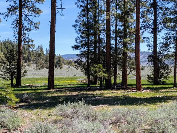 $250,000 | 0 Fs 3752 Tl 1300, Bly, OR 97622