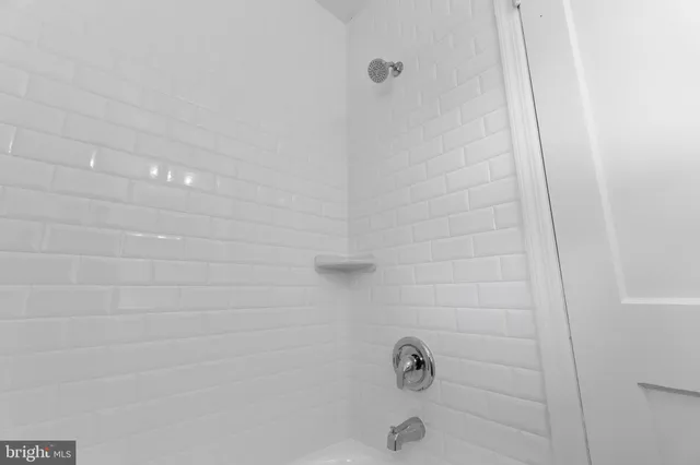 a view of a backyard with large trees