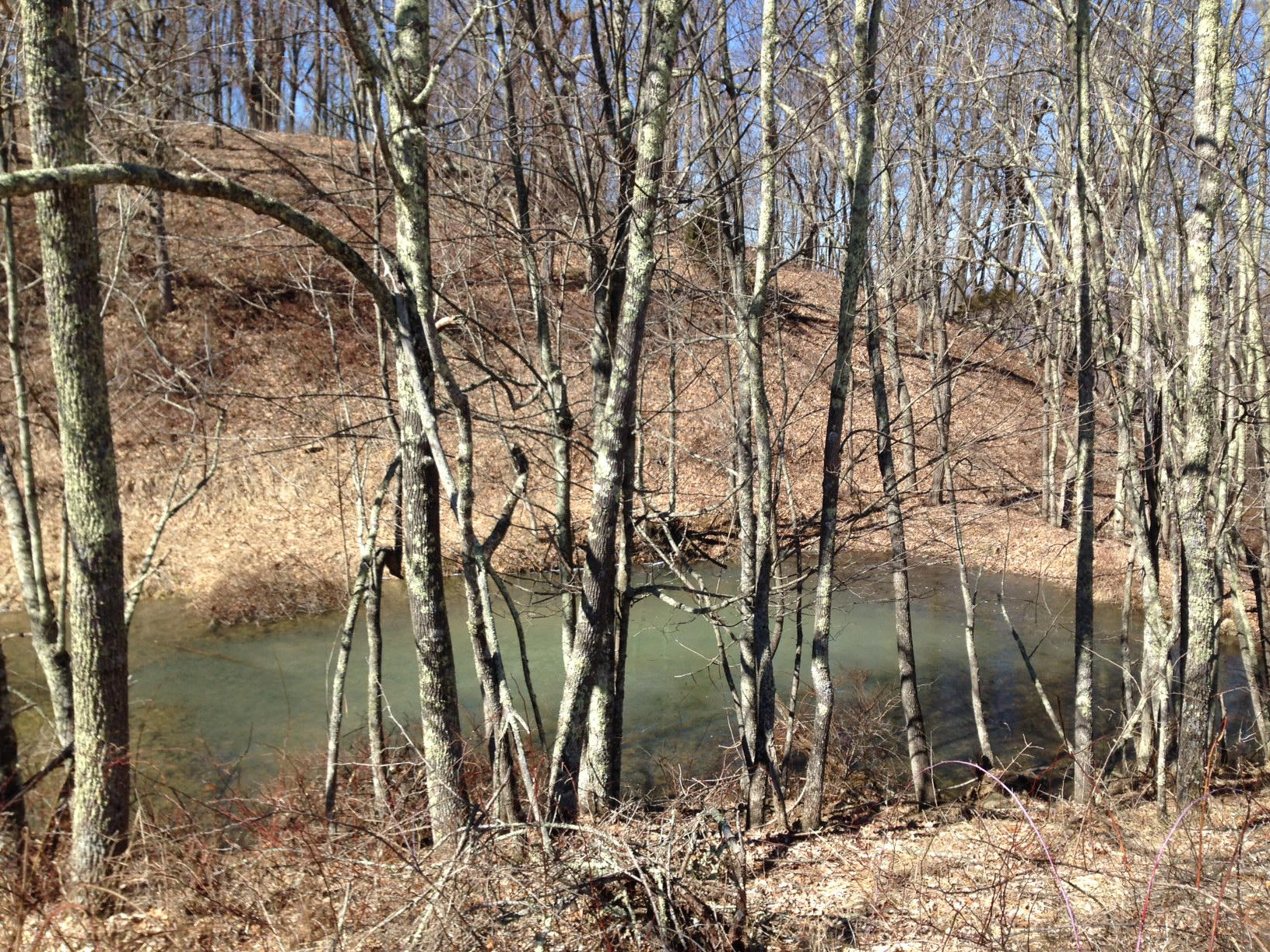 Dillon Road Forest Hill, WV 24935 - Photo 30 of 93 Gallery Image 30