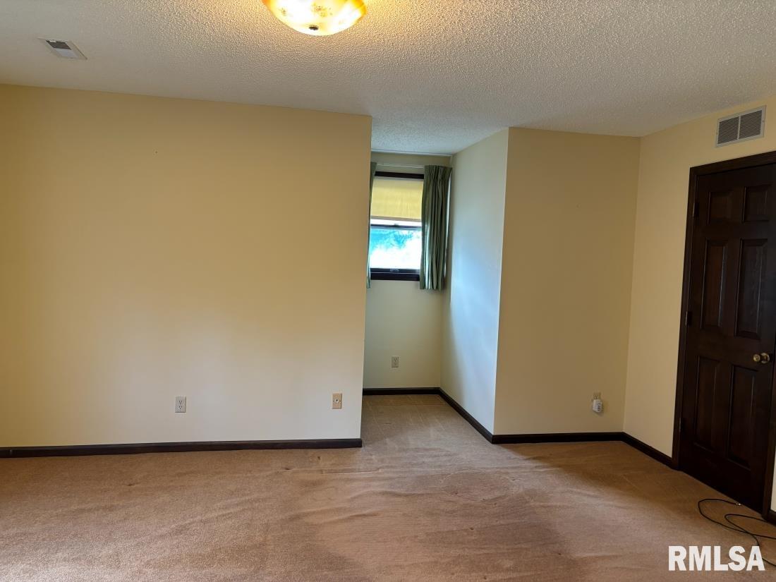 3405 Bluff Road Springfield, IL 62711 - Photo 19 of 38