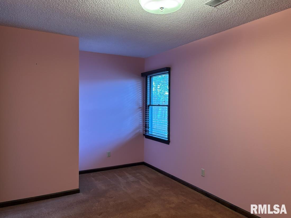 3405 Bluff Road Springfield, IL 62711 - Photo 24 of 38