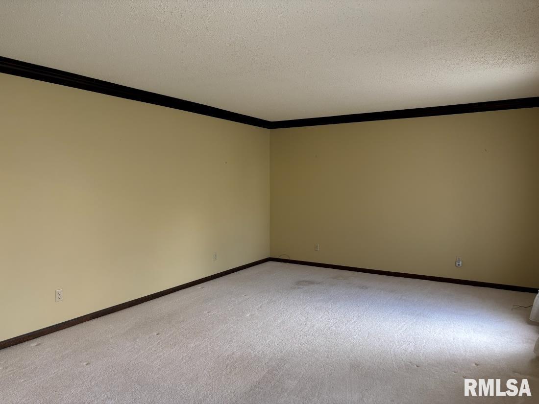 3405 Bluff Road Springfield, IL 62711 - Photo 9 of 38