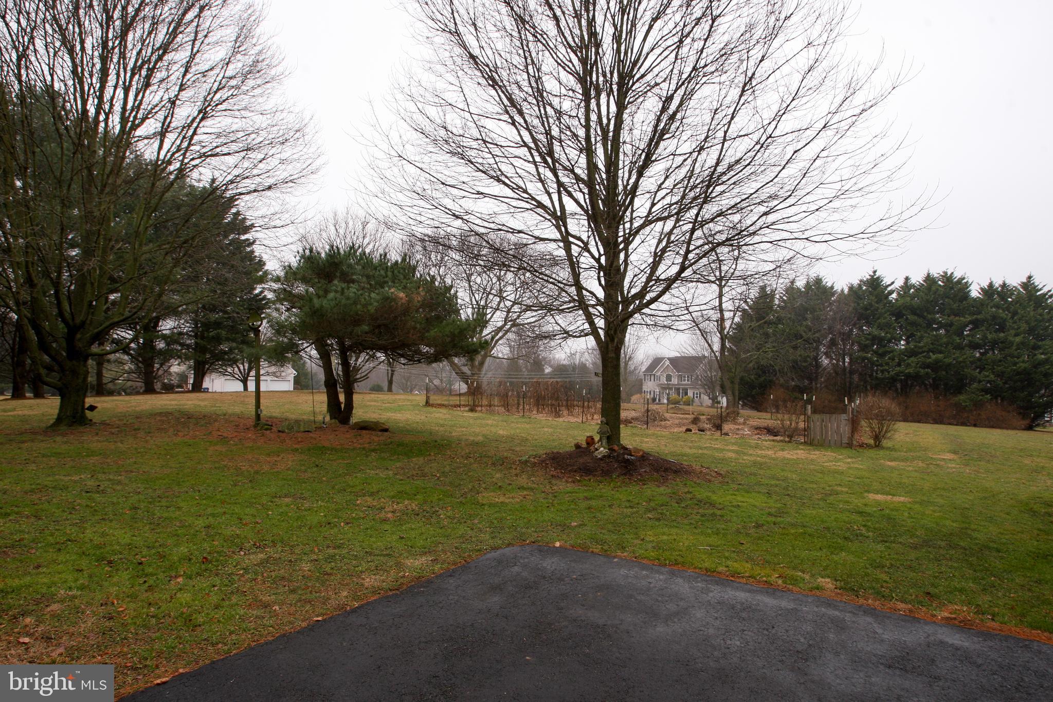 308 Northbank Road Landenberg, PA 19350 - Photo 29 of 38 View toward tree-line property "border"