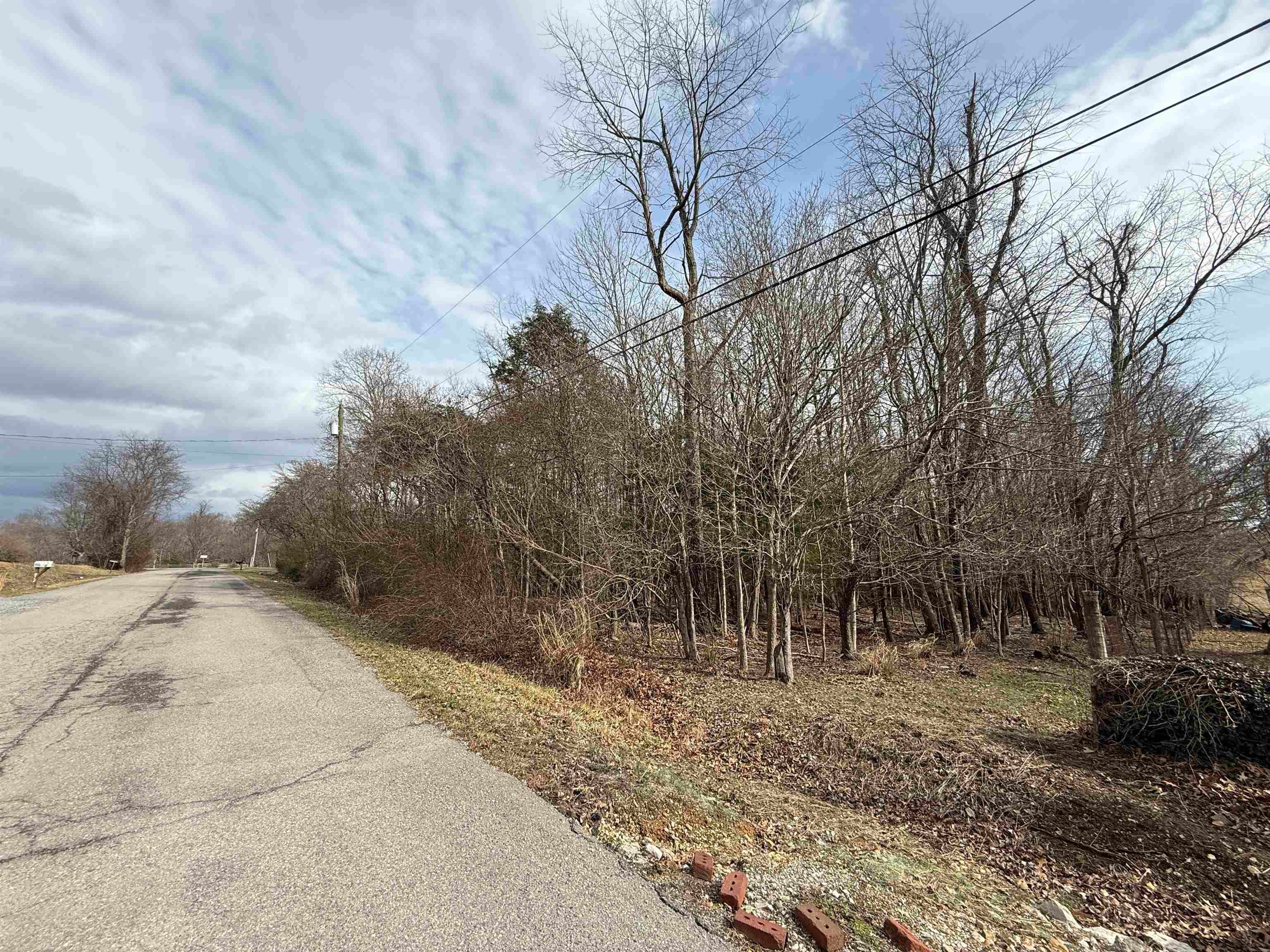 Tbd Country Acres Road Blacksburg, VA 24060 - Photo 5 of 5 Gallery Image 5