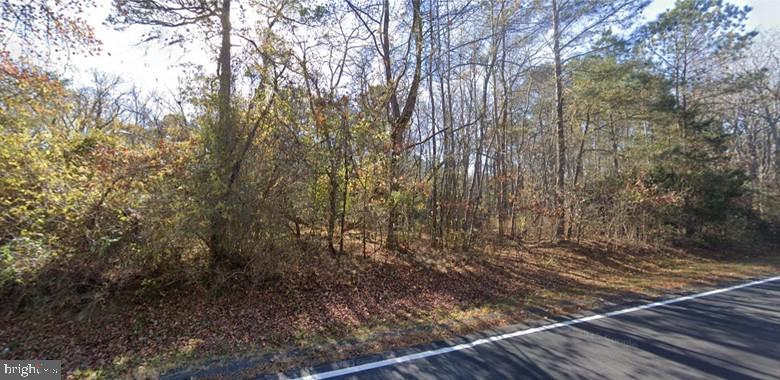 Irvington Road White Stone, VA 22578 - Photo 1 of 4 Serene woodland along a quiet road.