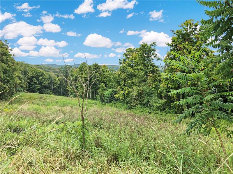 254 Friendship Road Beaver Falls, PA 15010 - Photo 2 of 18