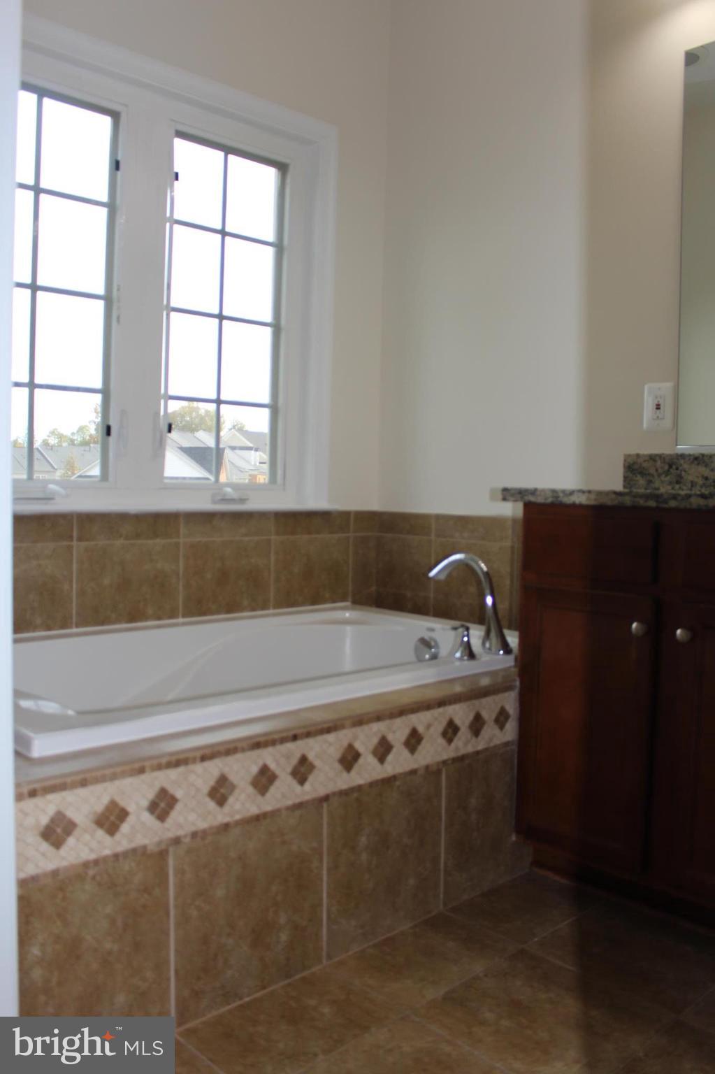 8104 Sport View Road Landover, MD 20785 - Photo 19 of 27 Bath (Master)