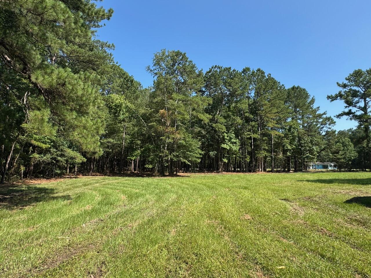 0 Fish Road, Unit 4 & 5 Ridgeville, SC 29472 - Photo 2 of 9 Gallery Image 2