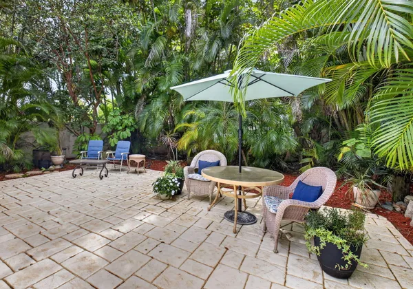 a view of a garden with plants