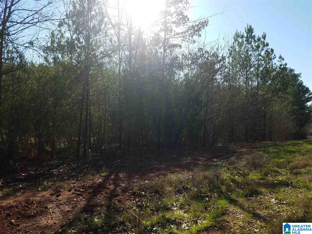 0 Cove Access Road, Unit 7 ACRES Talladega, AL 35160 - Photo 4 of 19