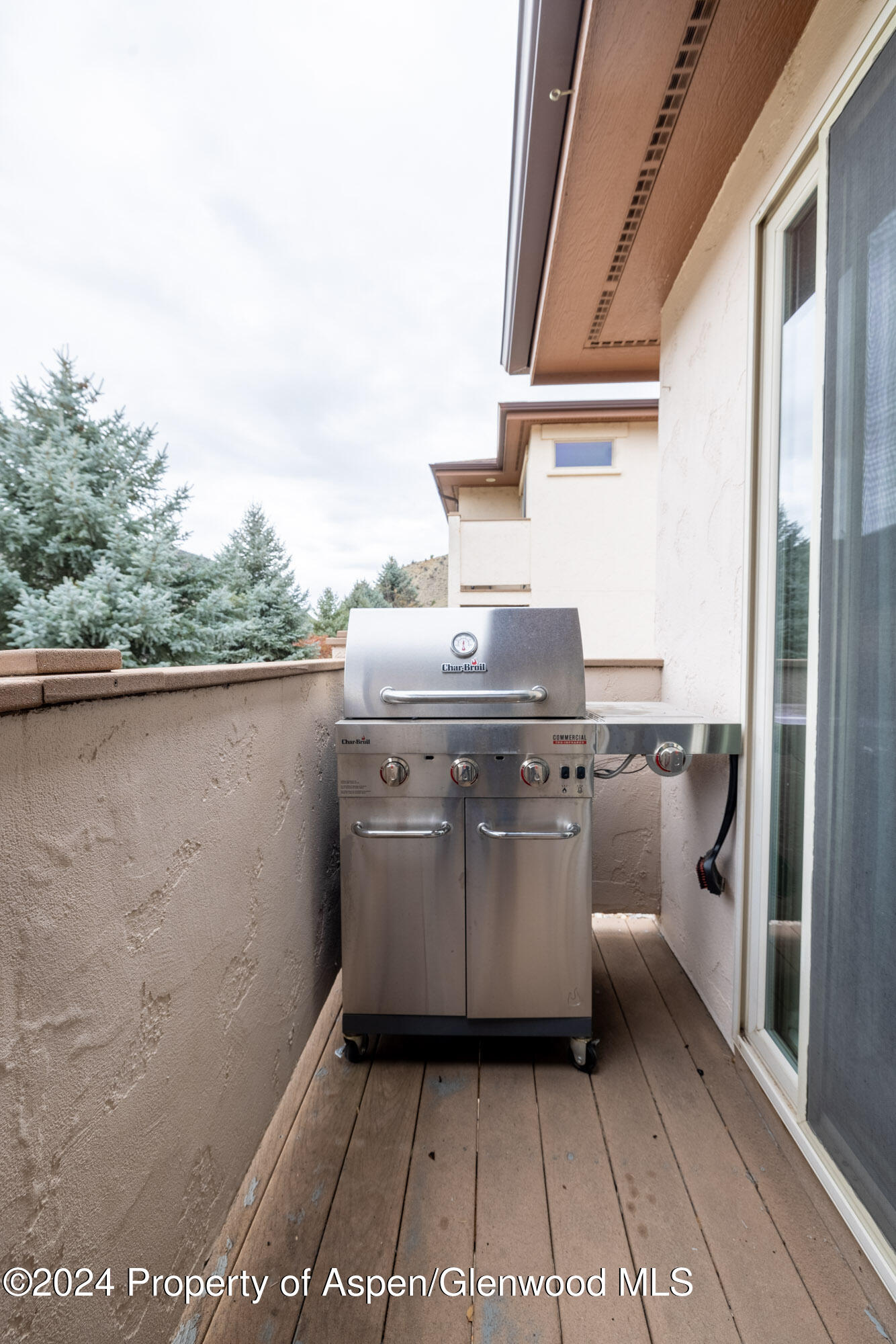 270 Castle Ridge Drive New Castle, CO 81647 - Photo 16 of 16 2L4A8447-HDR