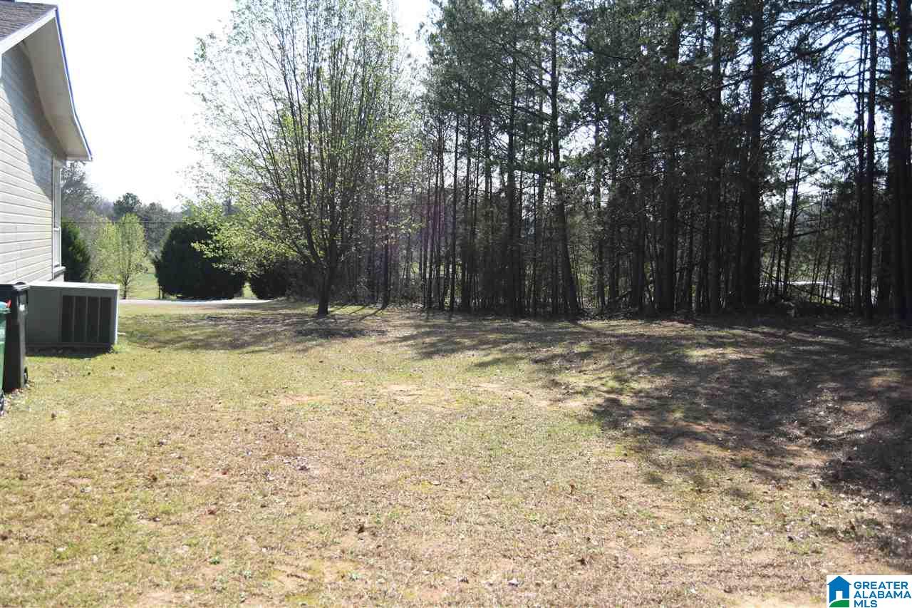 25 Hickory Street Munford, AL 36268 - Photo 36 of 37
