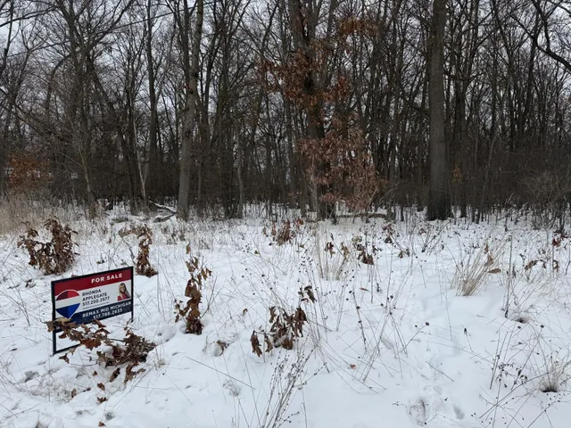 $112,000 | 0 North Brown Street, Jackson, MI 49202