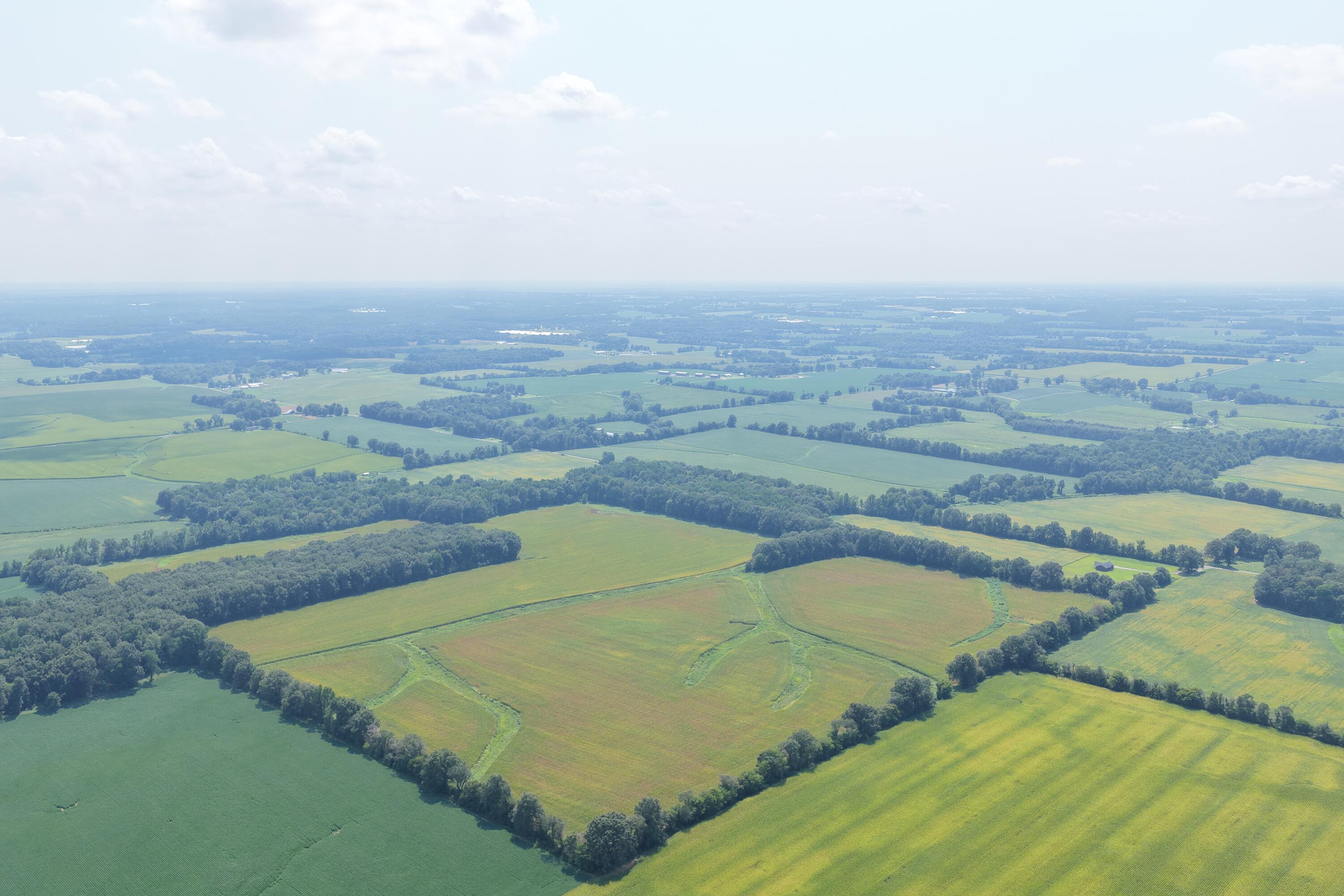 0 Beech Grove Road, Unit TRACT 7 Murray, KY 42071 - Photo 5 of 6 dji_fly_20260810_143546_0157_17863976651