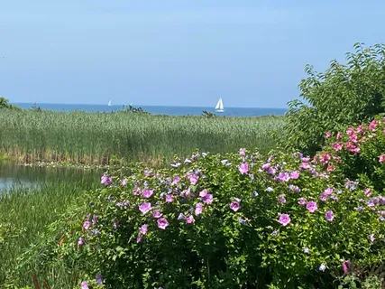 a view of beach and ocean