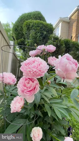 $2,850 | 1017 Oaklyn Court, Voorhees, NJ 08043