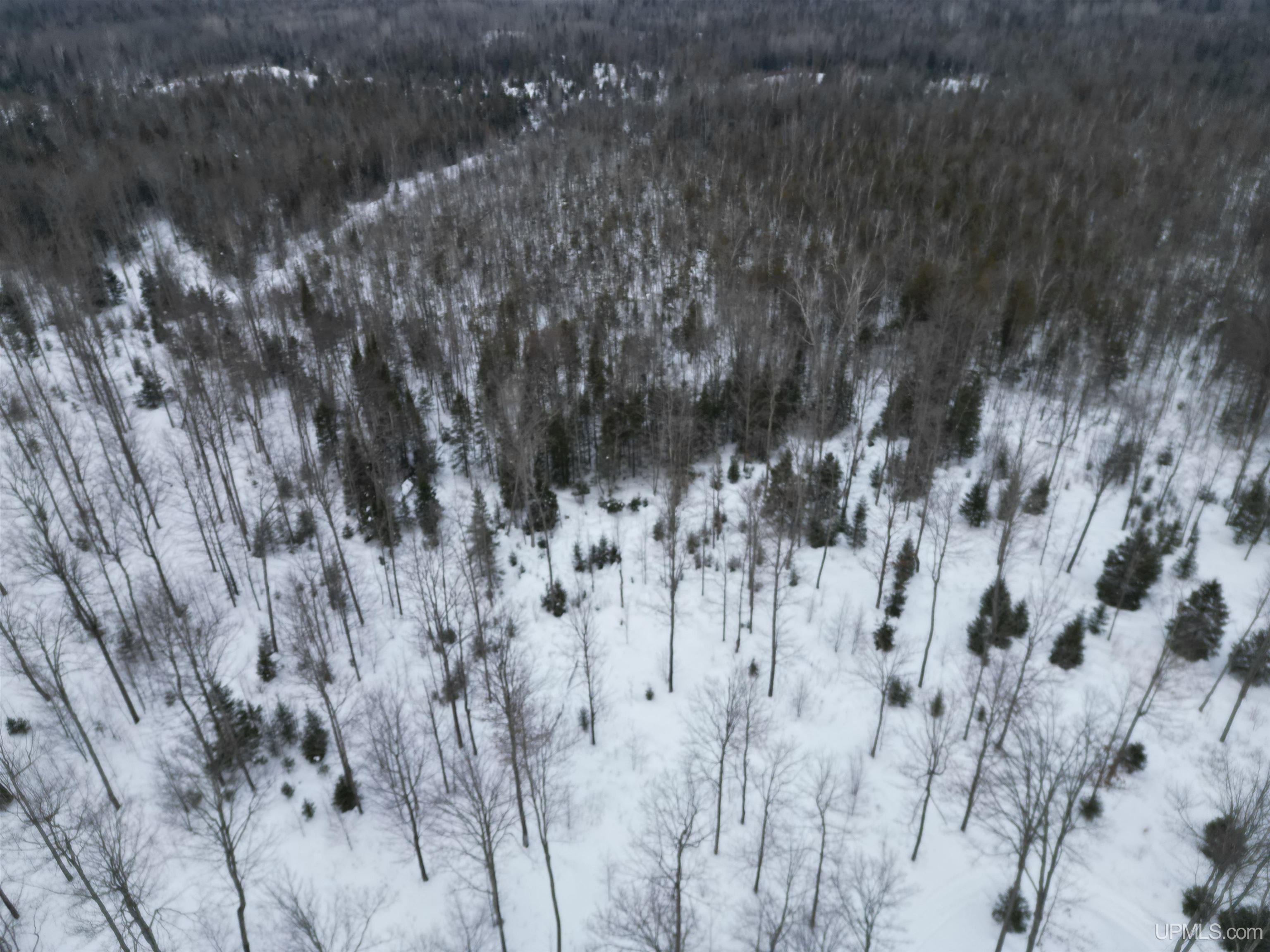 7230 Osier 40th Road Rapid River, MI 49878 - Photo 61 of 67