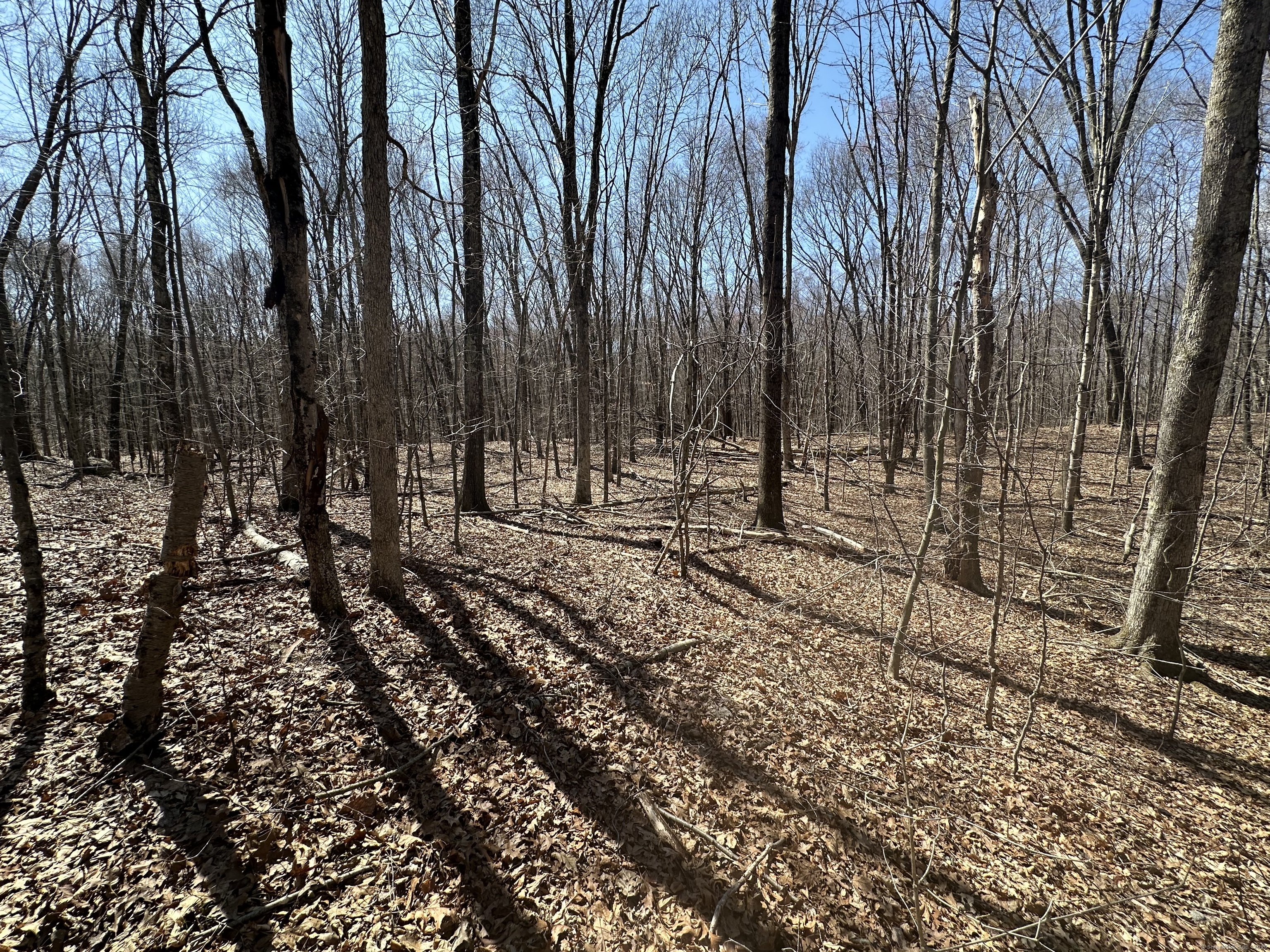 0 Cowles Road Woodbury, CT 06798 - Photo 6 of 12