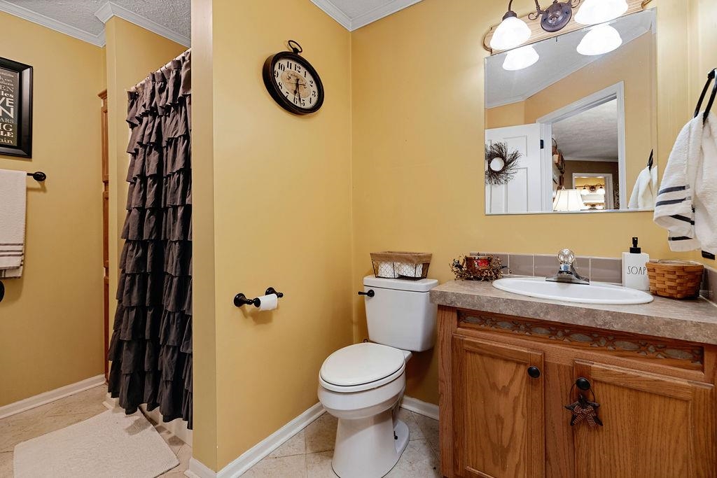264 Steeles Fort Road Raphine, VA 24472 - Photo 33 of 50 a bathroom with a toilet a sink and a mirror