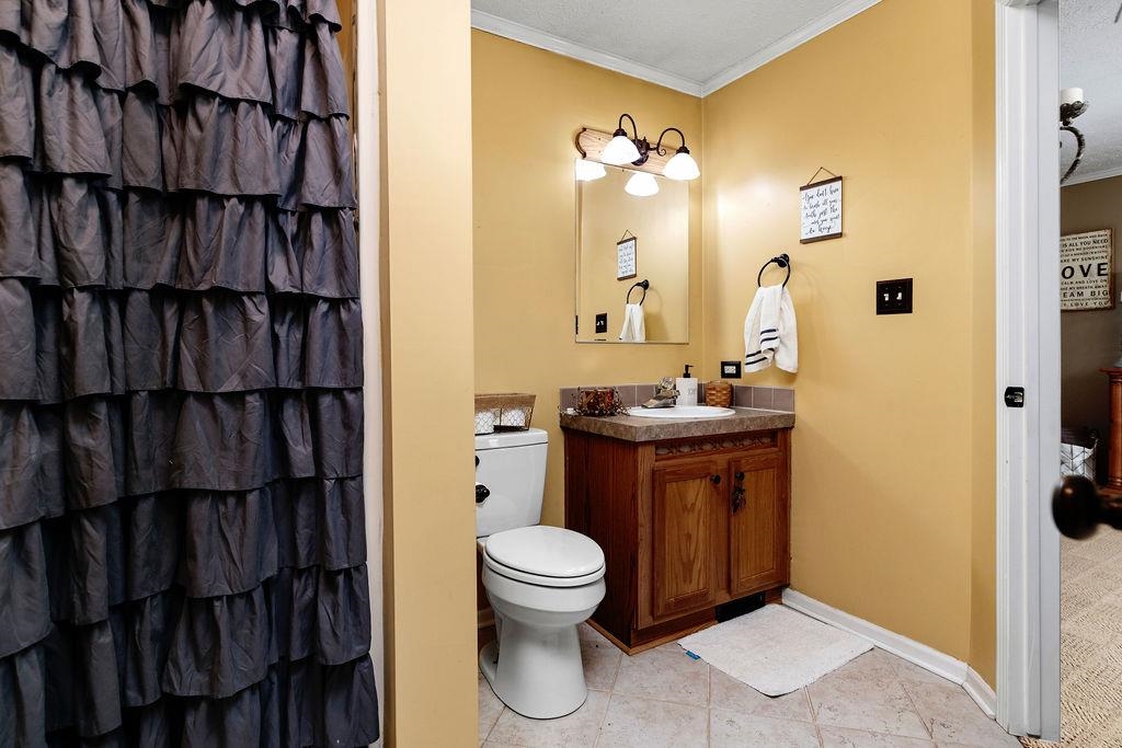 264 Steeles Fort Road Raphine, VA 24472 - Photo 34 of 50 a bathroom with a toilet a sink and mirror