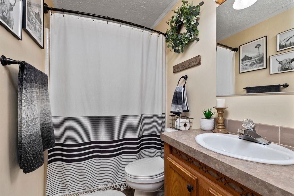 264 Steeles Fort Road Raphine, VA 24472 - Photo 39 of 50 a bathroom with a sink a mirror and a toilet