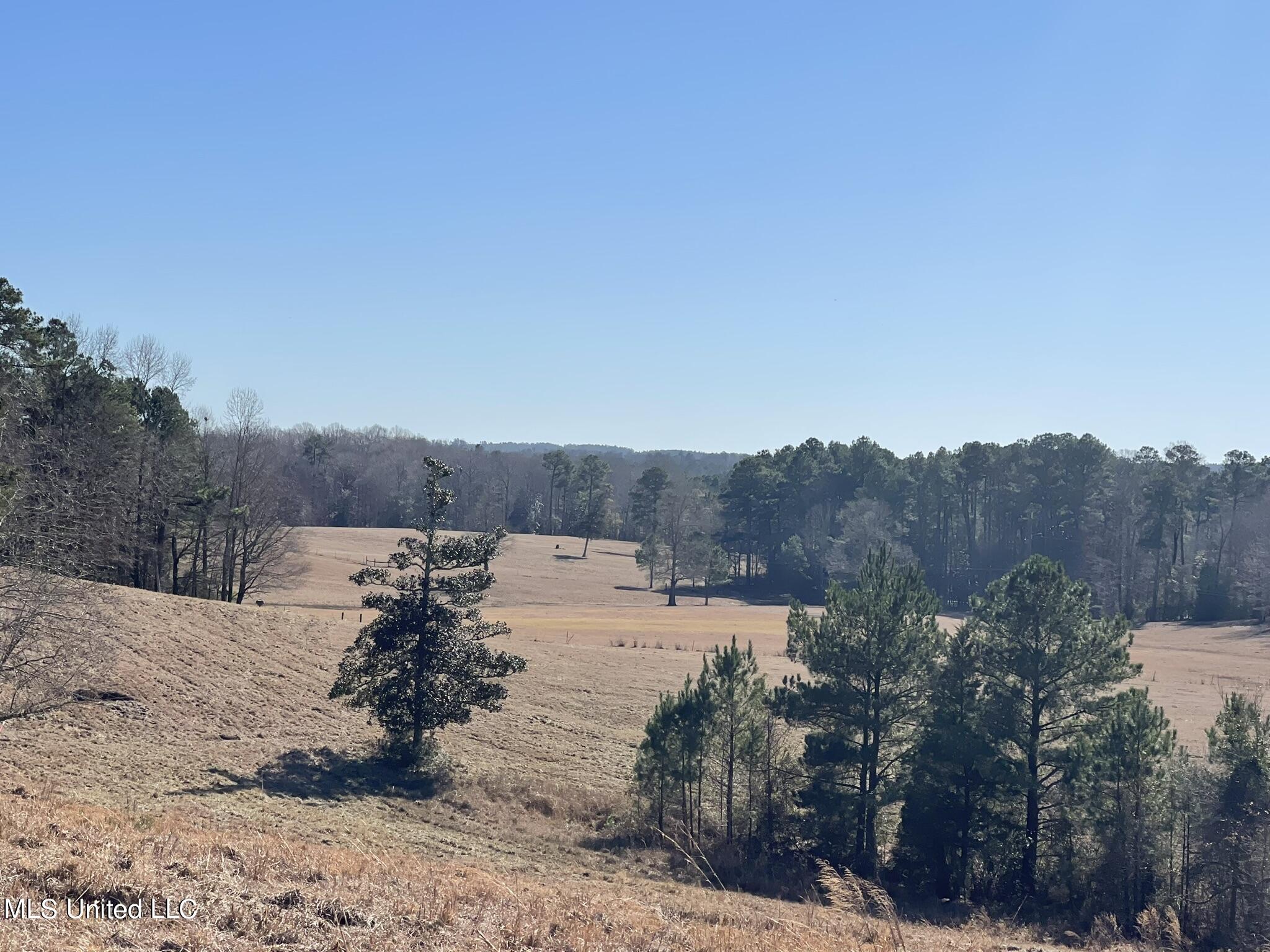 1547 Old Pearl Road Florence, MS 39073 - Photo 11 of 62 IMG_6742