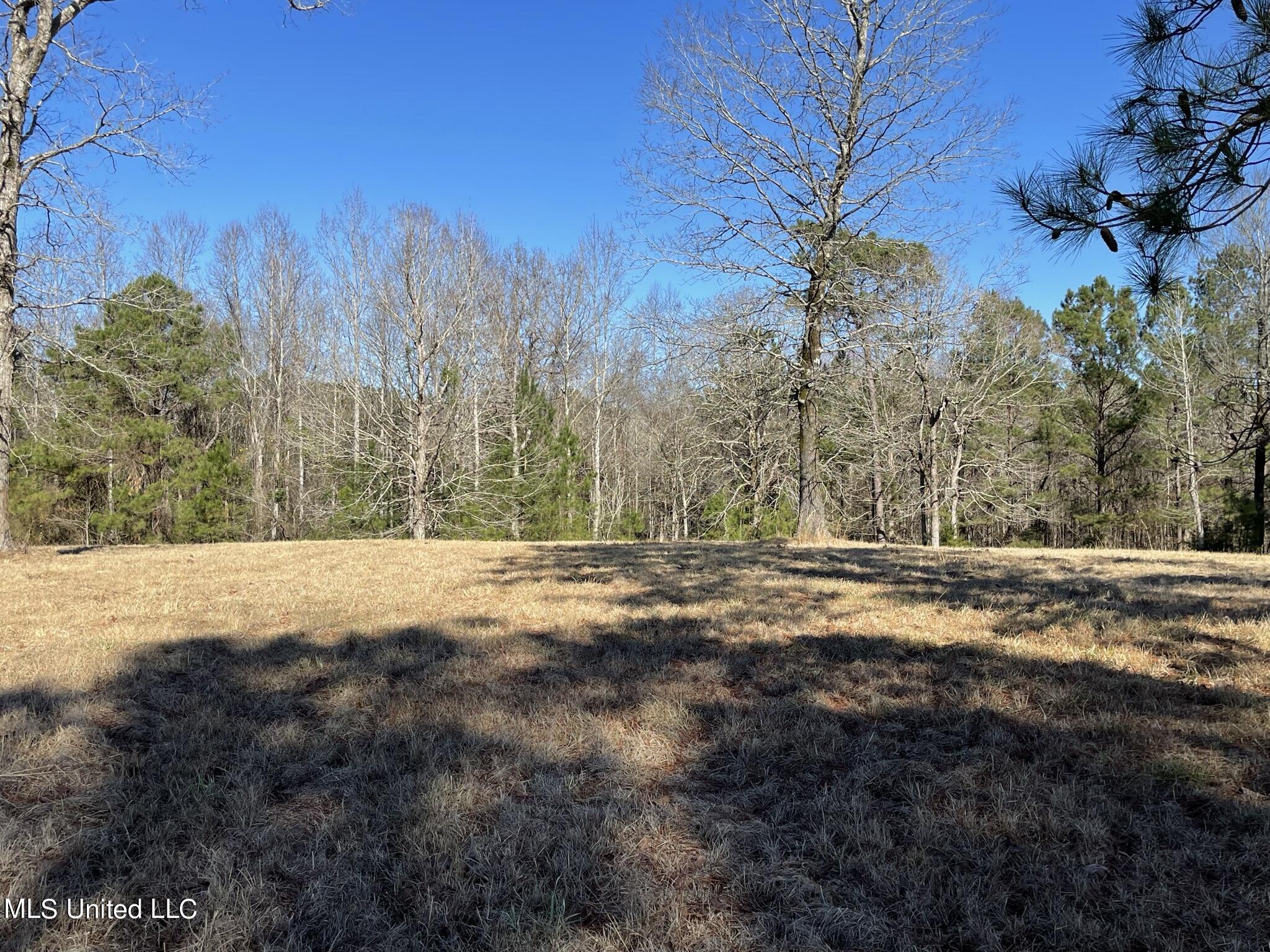 1547 Old Pearl Road Florence, MS 39073 - Photo 12 of 62 IMG_6743