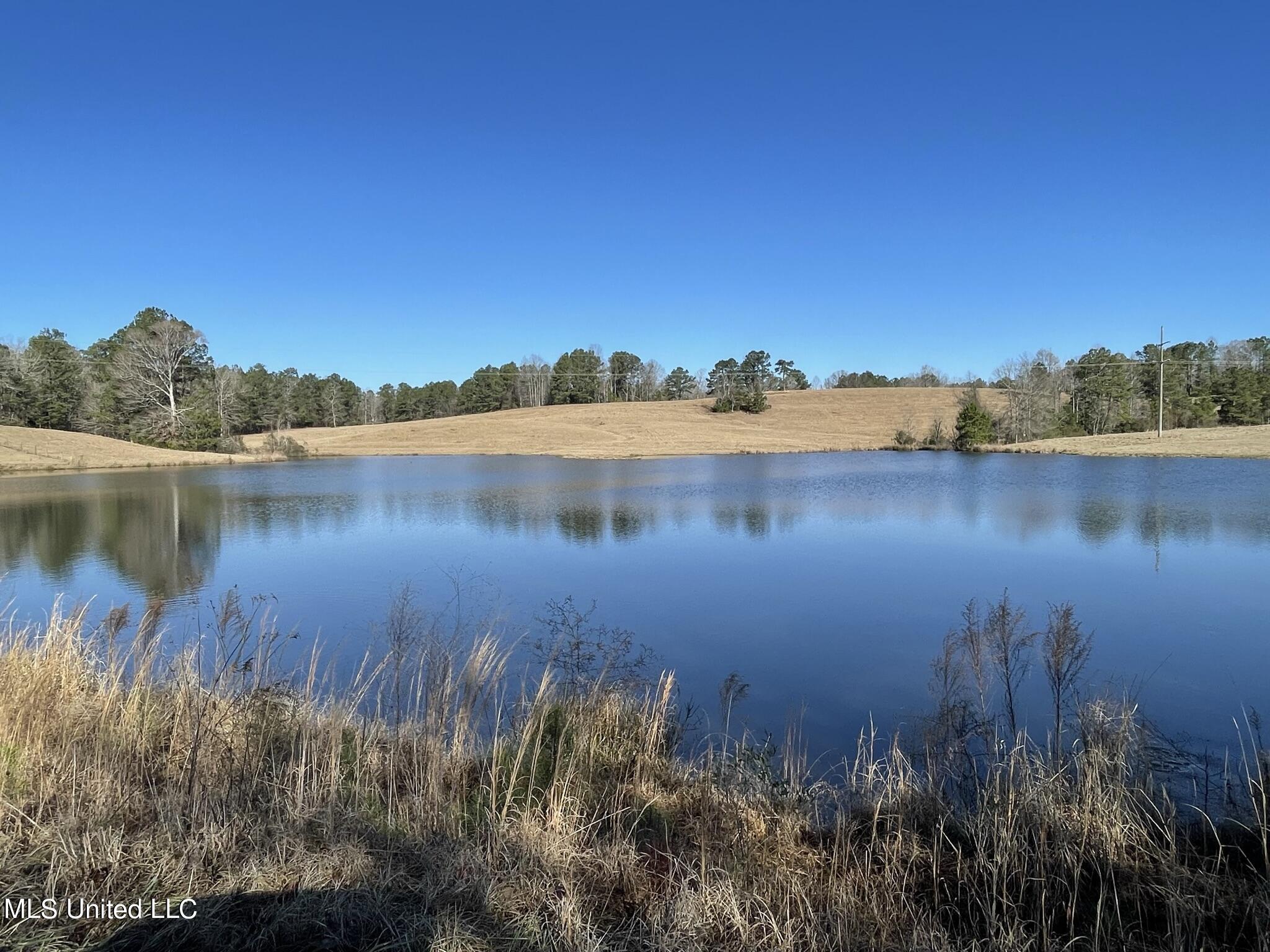 1547 Old Pearl Road Florence, MS 39073 - Photo 2 of 62 IMG_6721