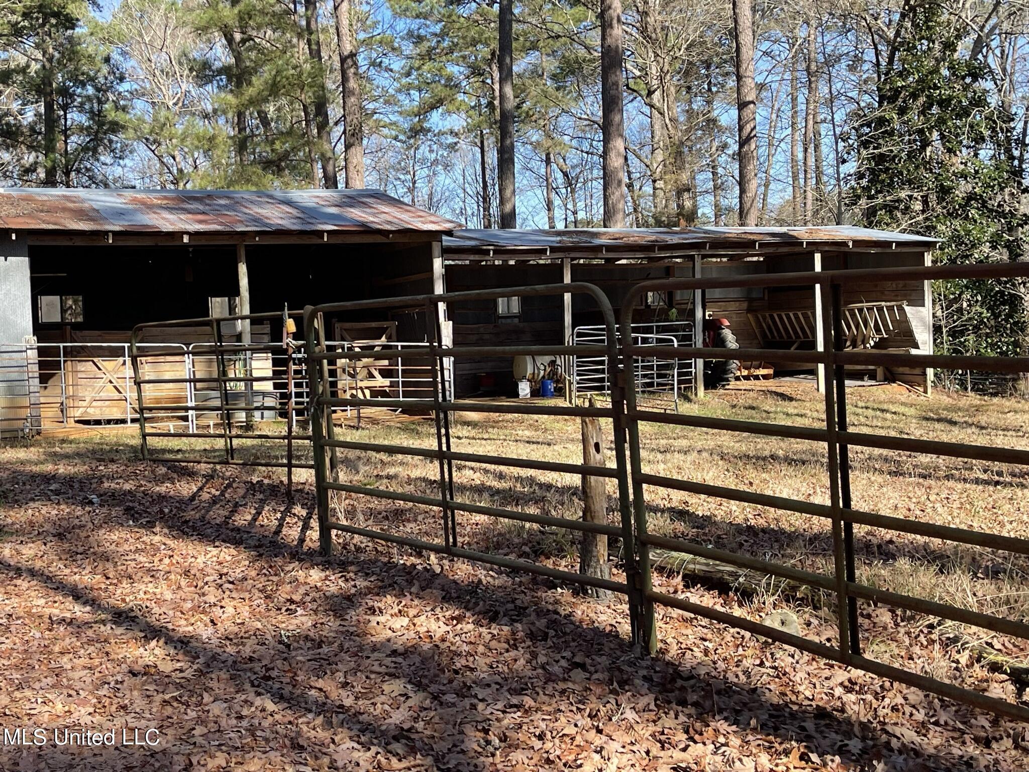 1547 Old Pearl Road Florence, MS 39073 - Photo 32 of 62 IMG_6715