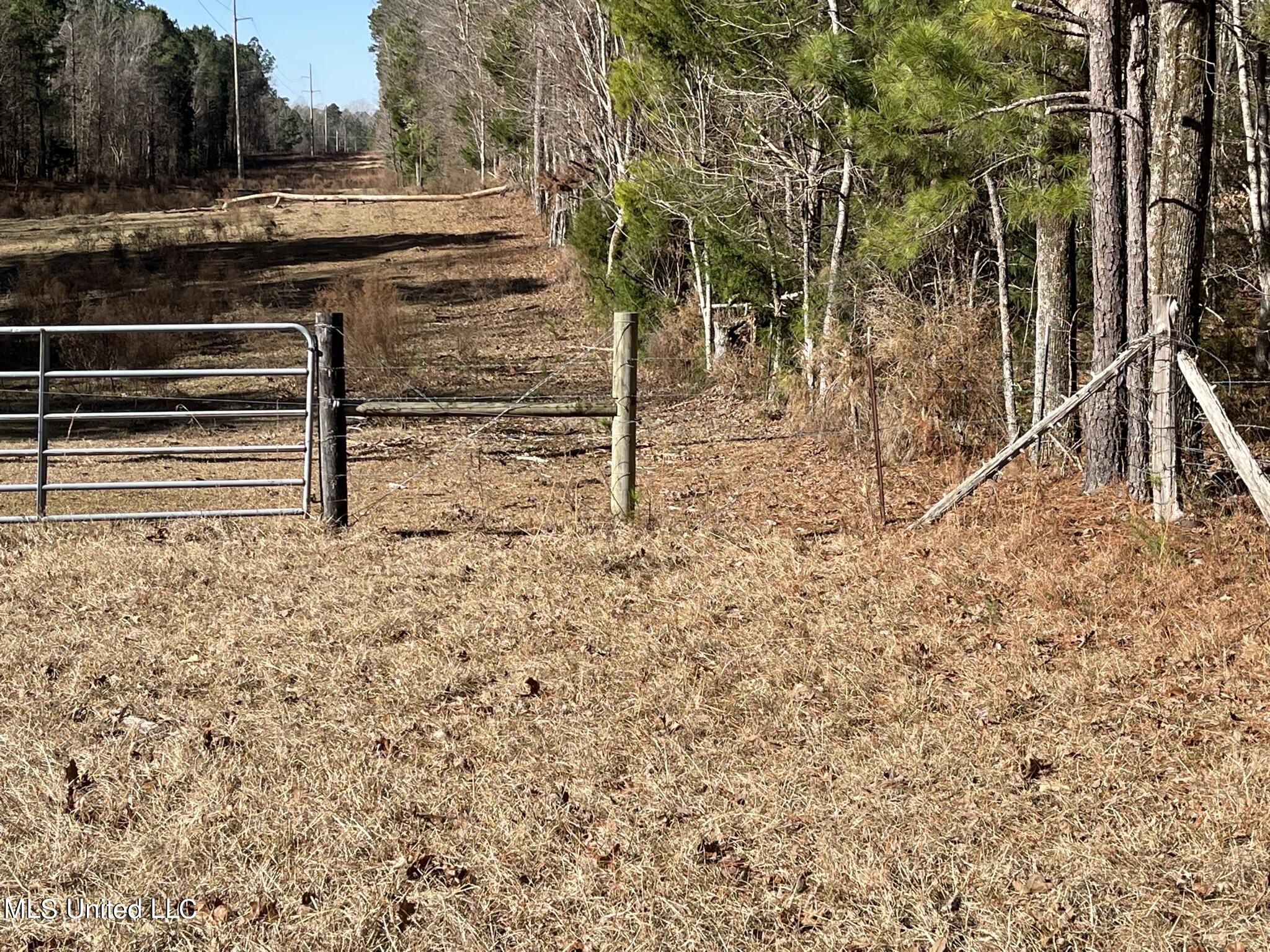 1547 Old Pearl Road Florence, MS 39073 - Photo 34 of 62 IMG_6728
