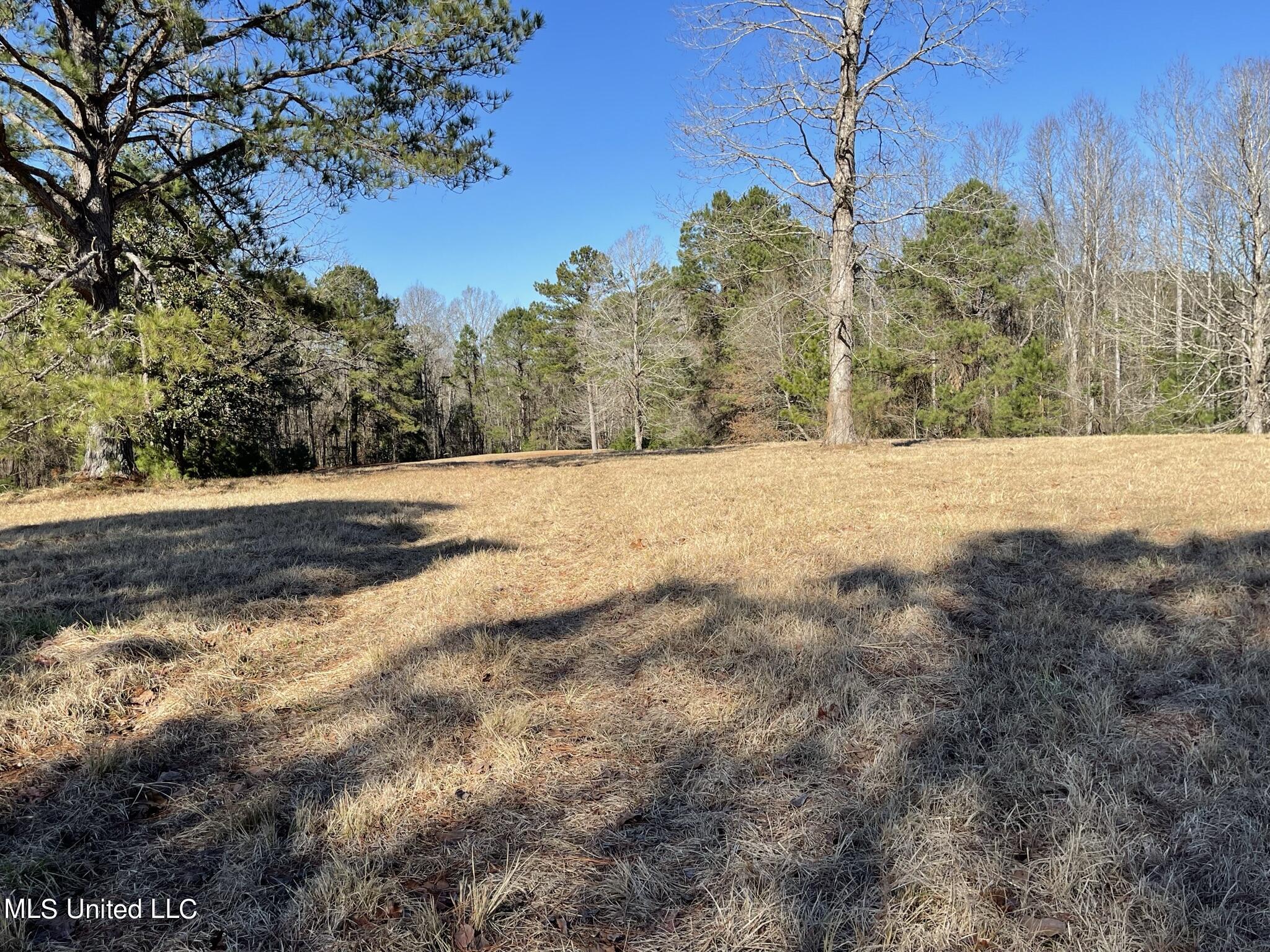 1547 Old Pearl Road Florence, MS 39073 - Photo 35 of 62 IMG_6744