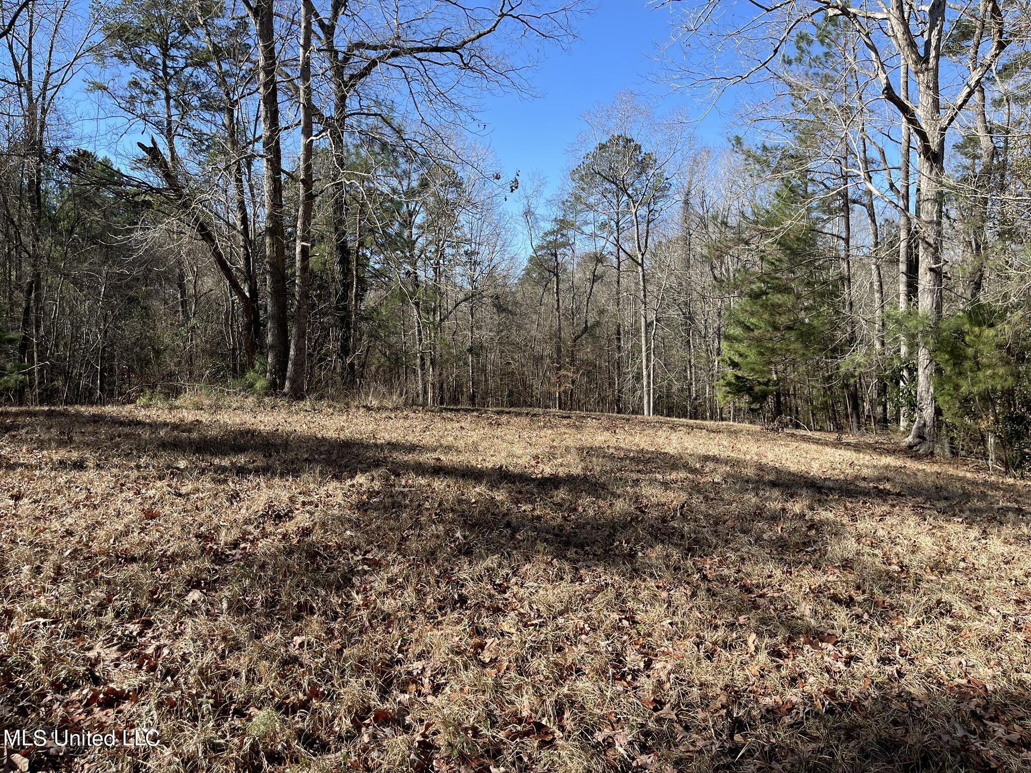1547 Old Pearl Road Florence, MS 39073 - Photo 39 of 62 IMG_6750