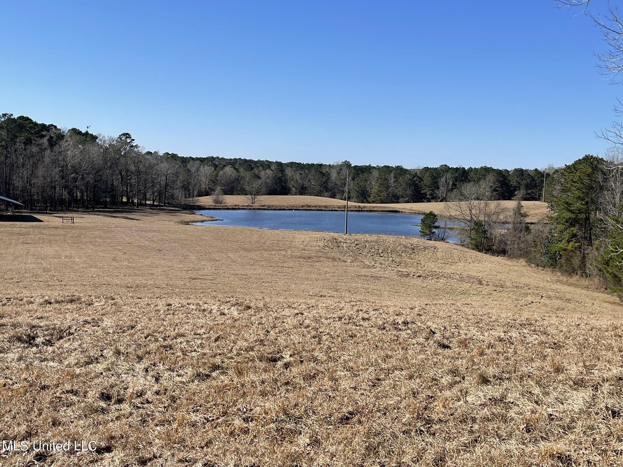 1547 Old Pearl Road Florence, MS 39073 - Photo 42 of 62 IMG_6753