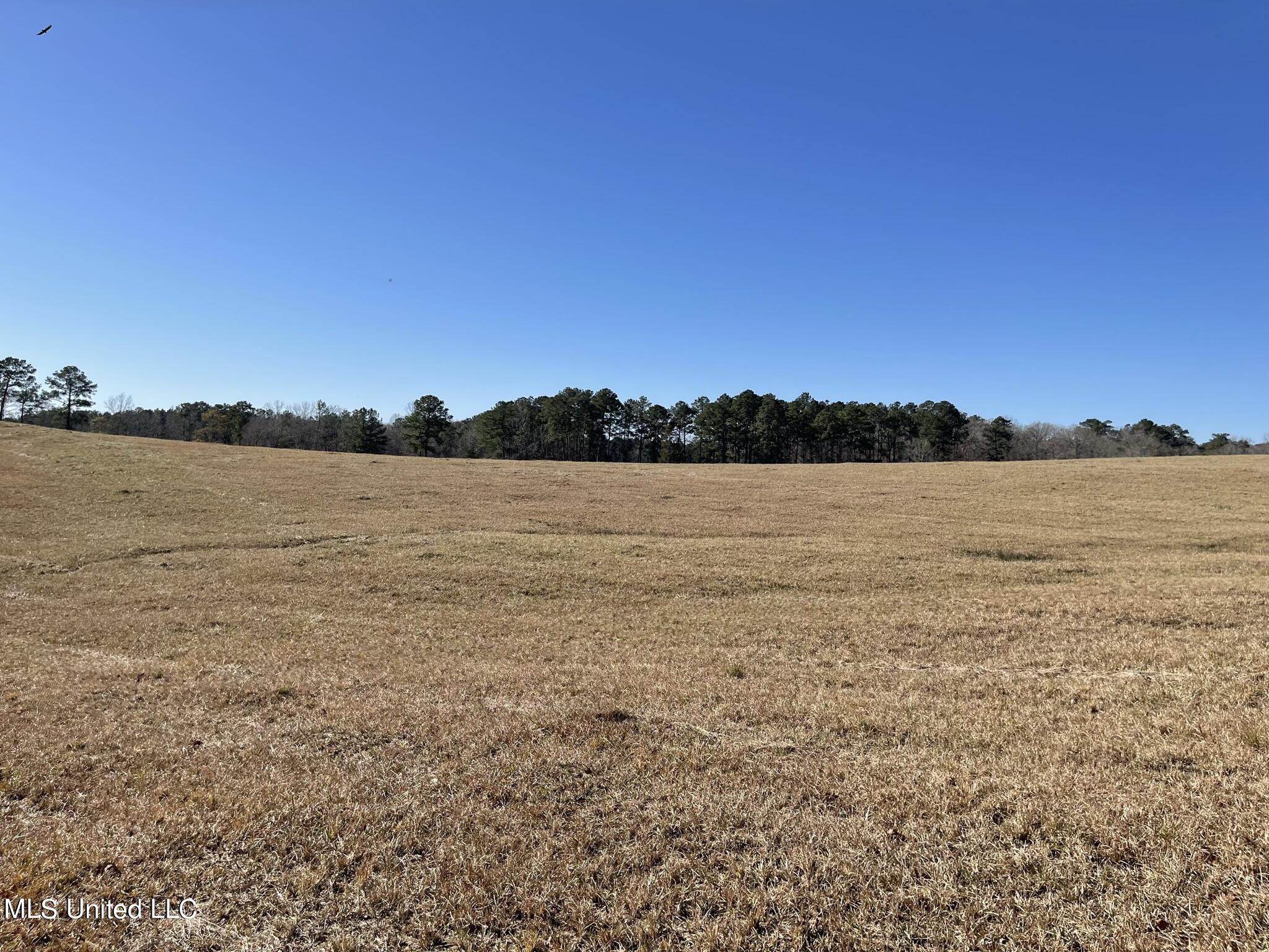 1547 Old Pearl Road Florence, MS 39073 - Photo 45 of 62 IMG_6762