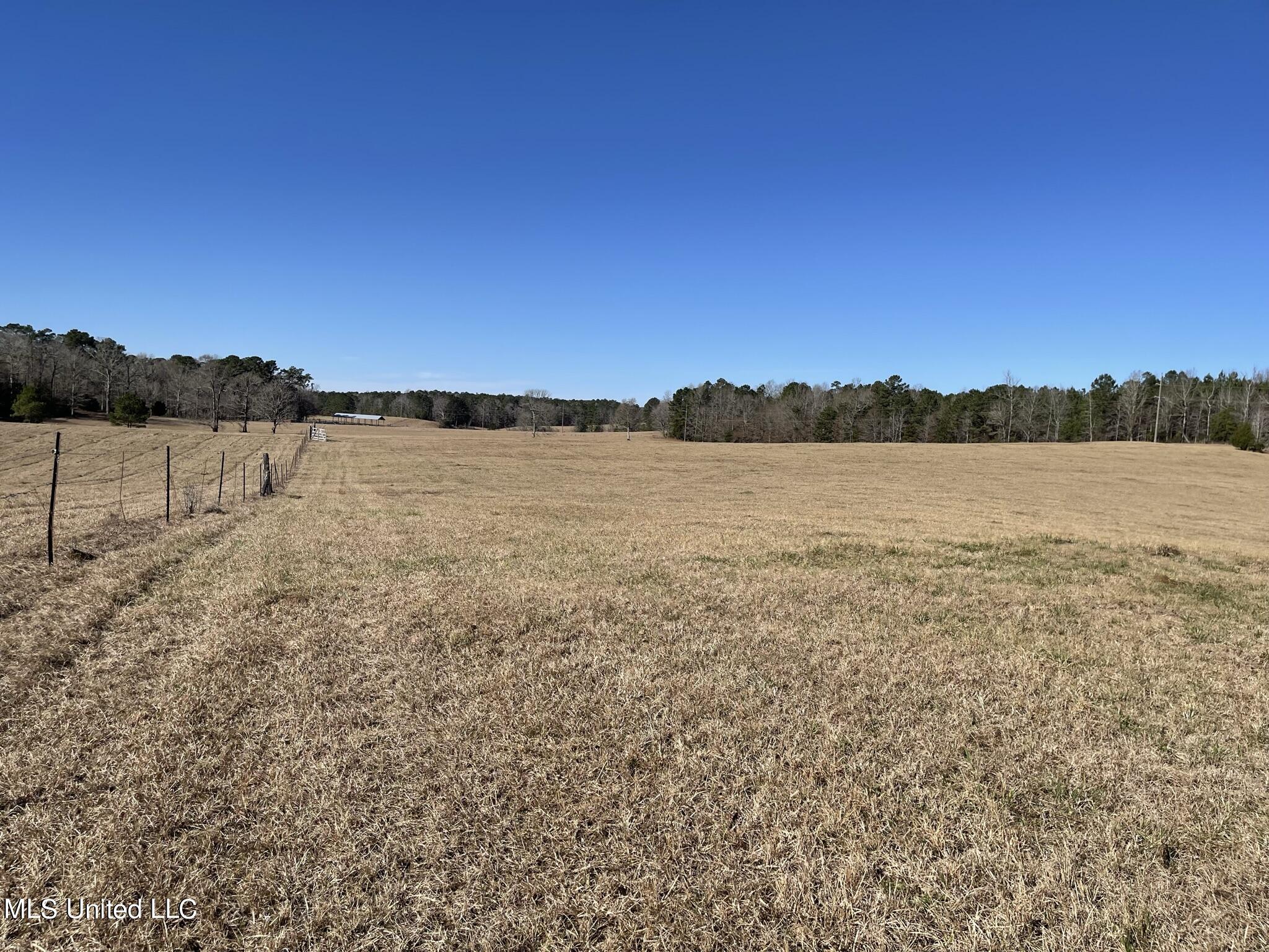1547 Old Pearl Road Florence, MS 39073 - Photo 46 of 62 IMG_6764