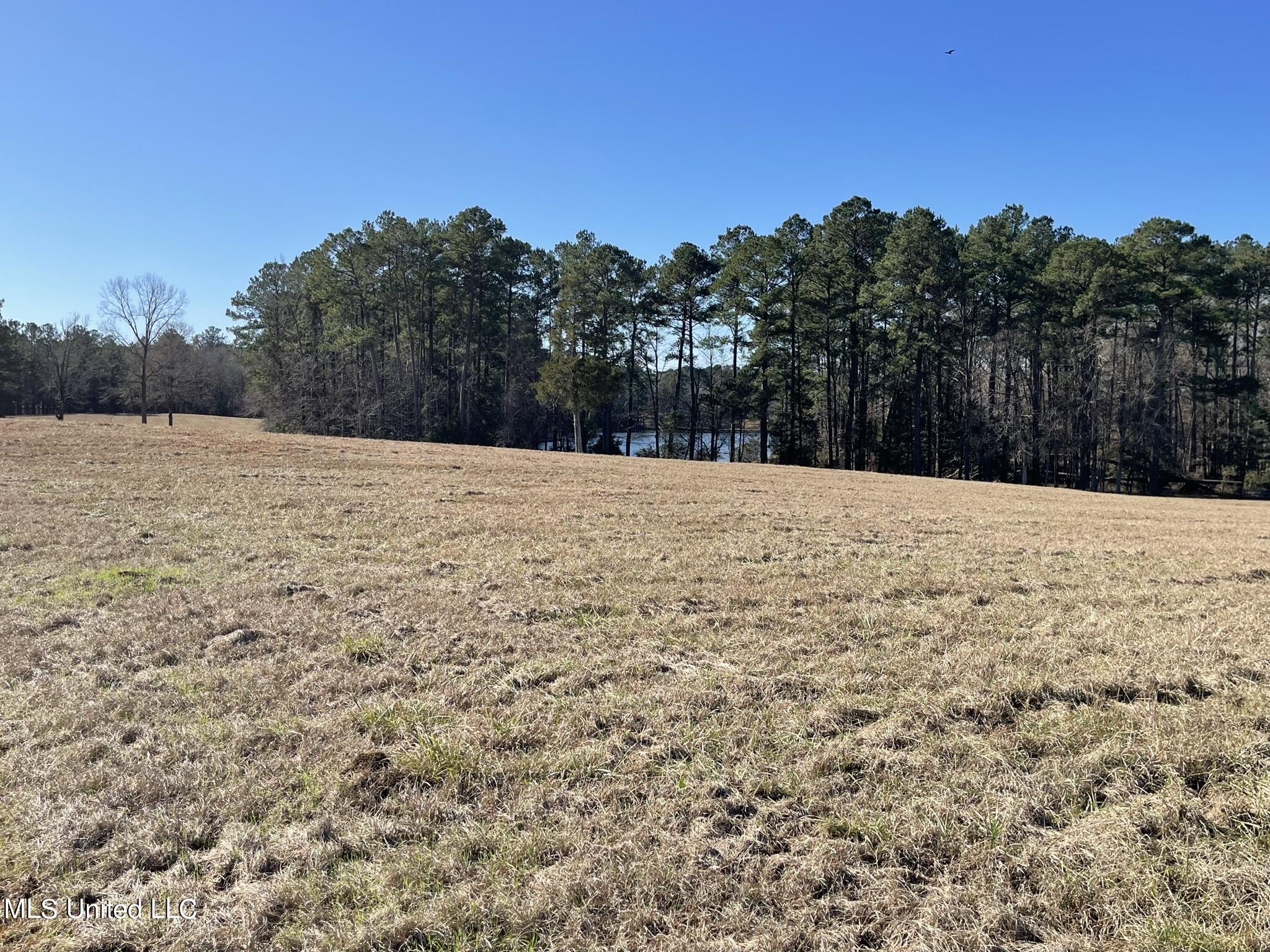 1547 Old Pearl Road Florence, MS 39073 - Photo 47 of 62 IMG_6765