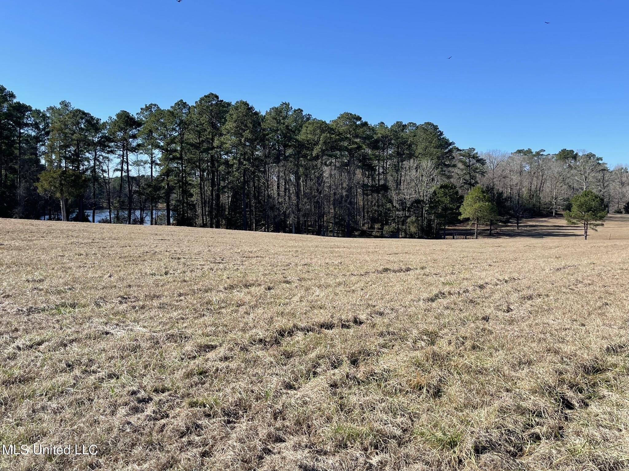 1547 Old Pearl Road Florence, MS 39073 - Photo 48 of 62 IMG_6766