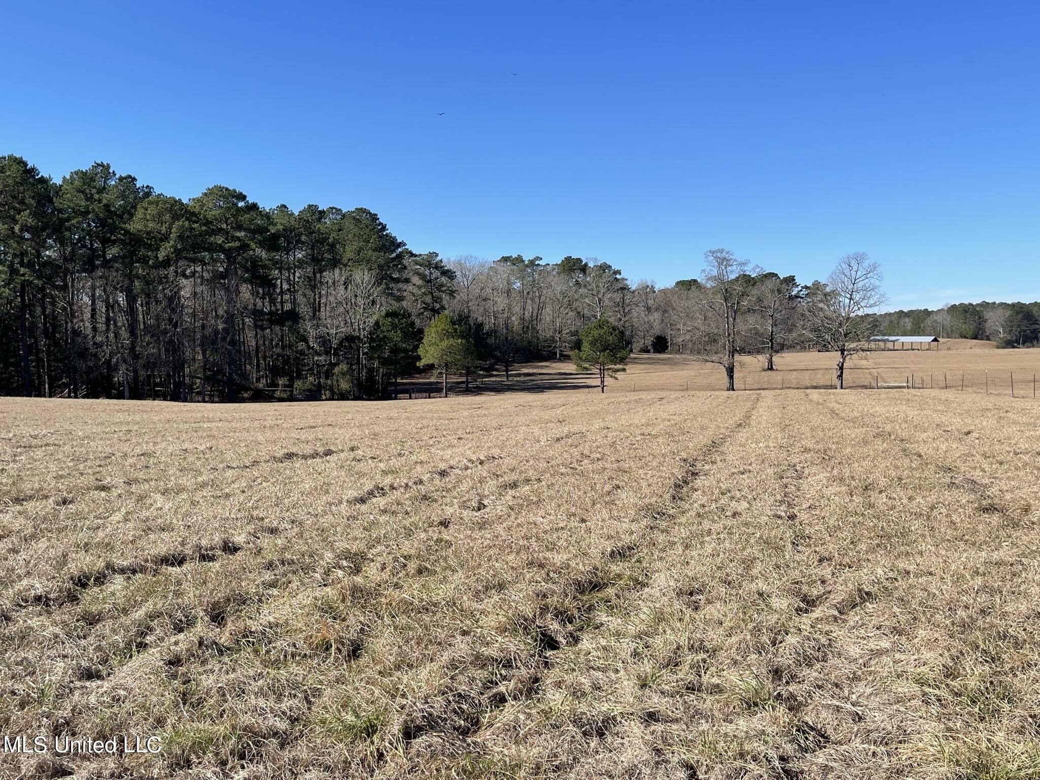 1547 Old Pearl Road Florence, MS 39073 - Photo 49 of 62 IMG_6767
