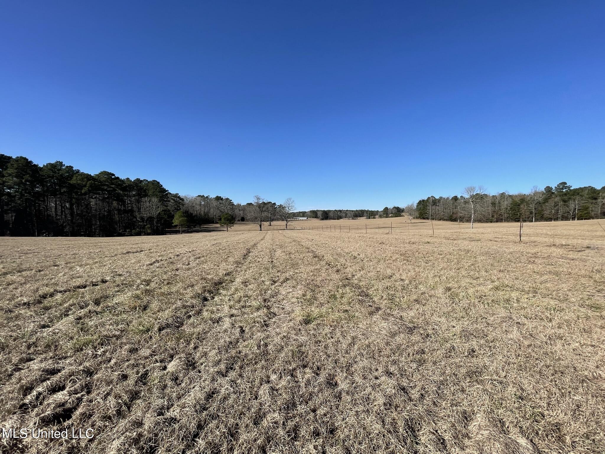 1547 Old Pearl Road Florence, MS 39073 - Photo 50 of 62 IMG_6768