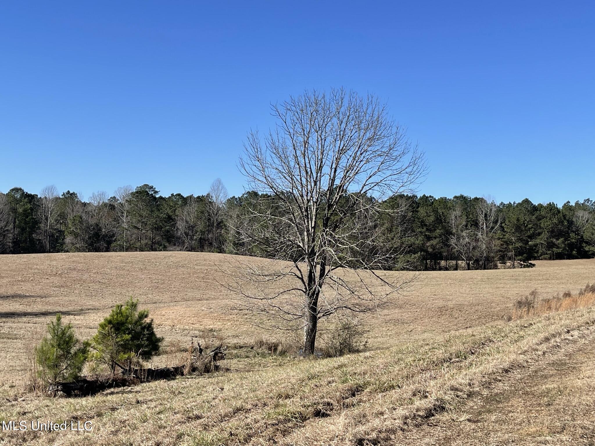 1547 Old Pearl Road Florence, MS 39073 - Photo 5 of 62 IMG_6725