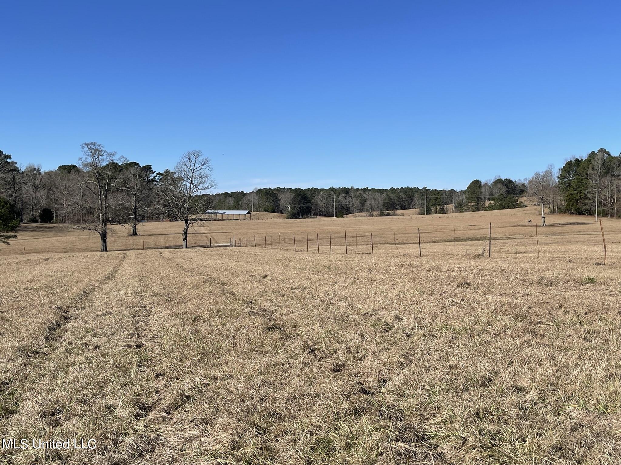 1547 Old Pearl Road Florence, MS 39073 - Photo 51 of 62 IMG_6769