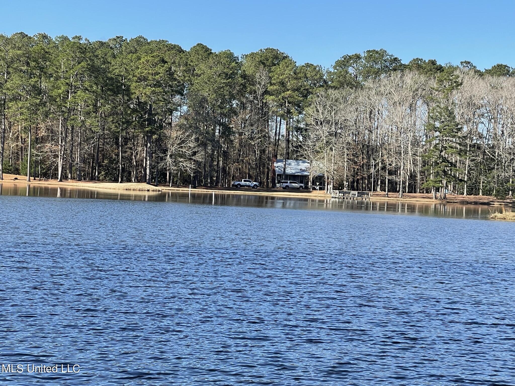 1547 Old Pearl Road Florence, MS 39073 - Photo 53 of 62 IMG_6777