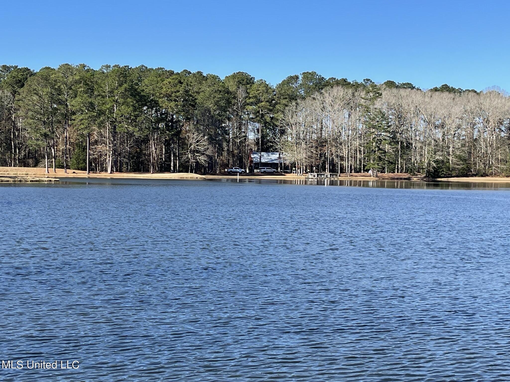 1547 Old Pearl Road Florence, MS 39073 - Photo 56 of 62 IMG_6781