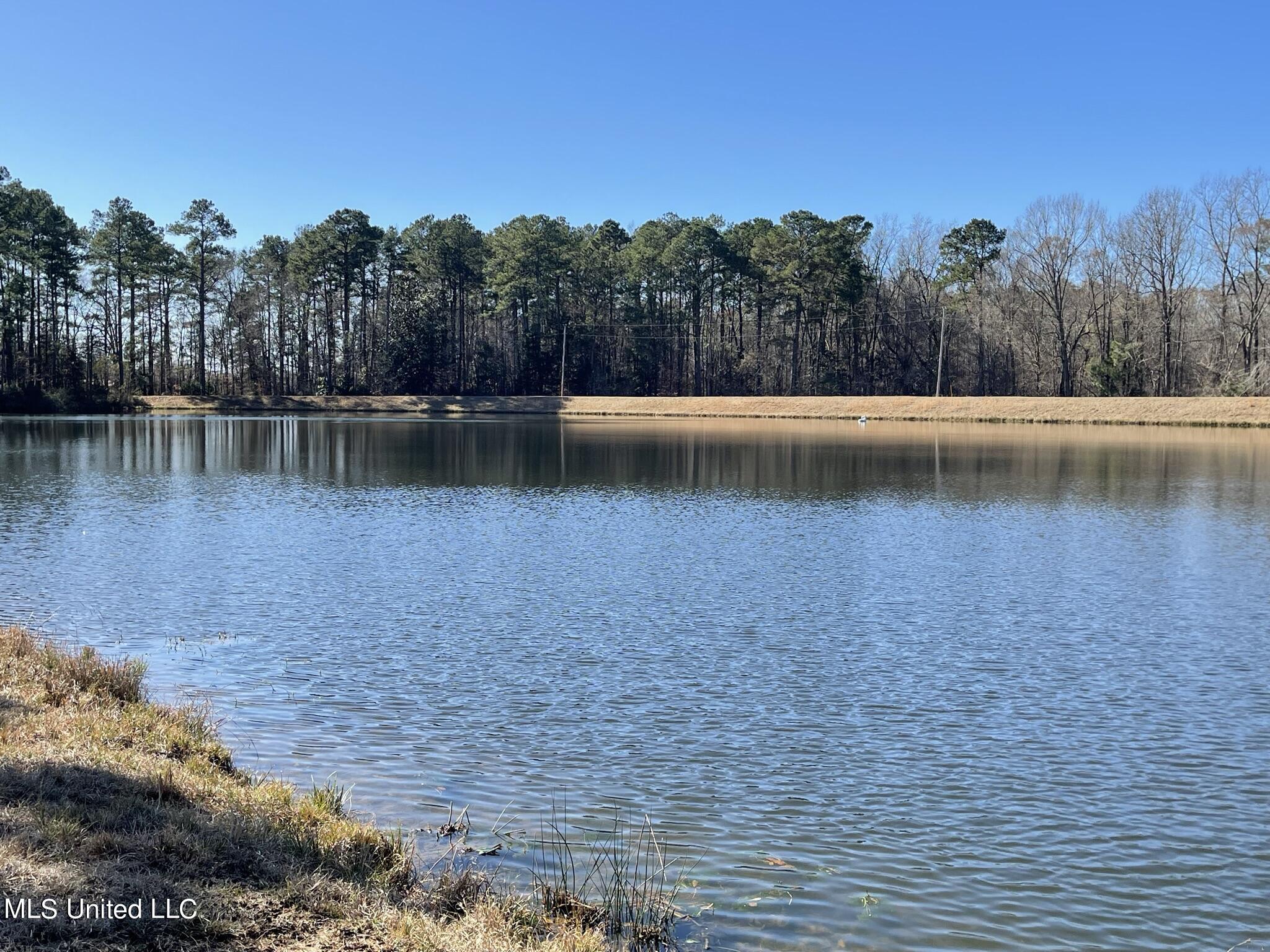 1547 Old Pearl Road Florence, MS 39073 - Photo 57 of 62 IMG_6783