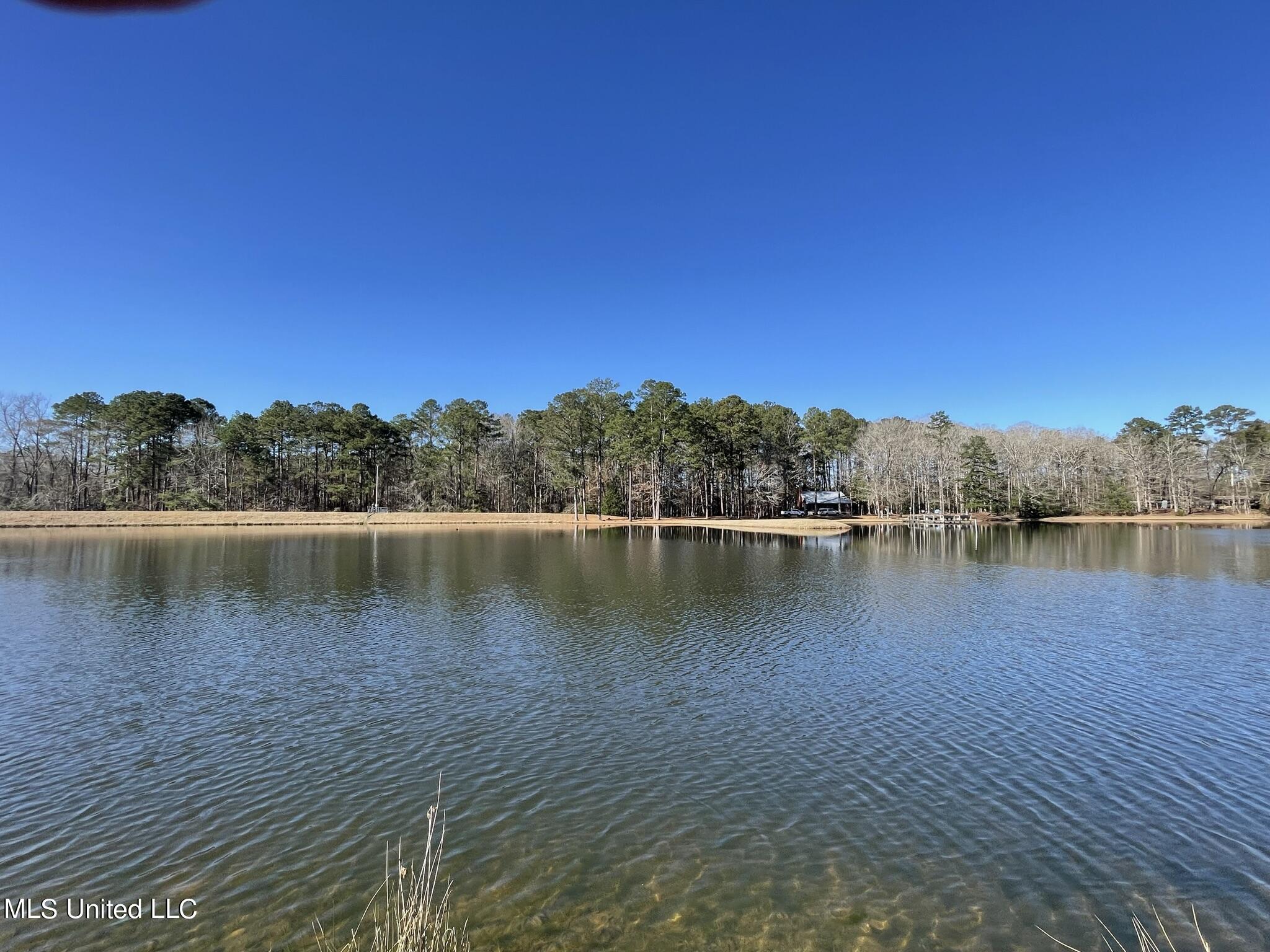 1547 Old Pearl Road Florence, MS 39073 - Photo 58 of 62 IMG_6784