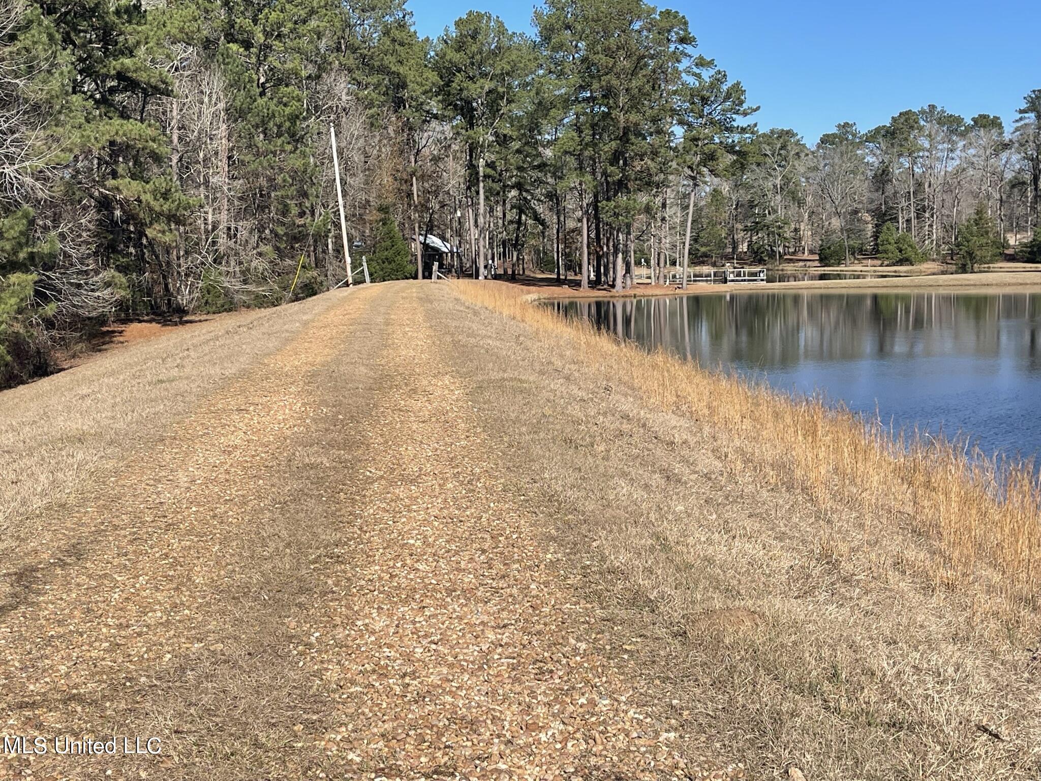 1547 Old Pearl Road Florence, MS 39073 - Photo 59 of 62 IMG_6796