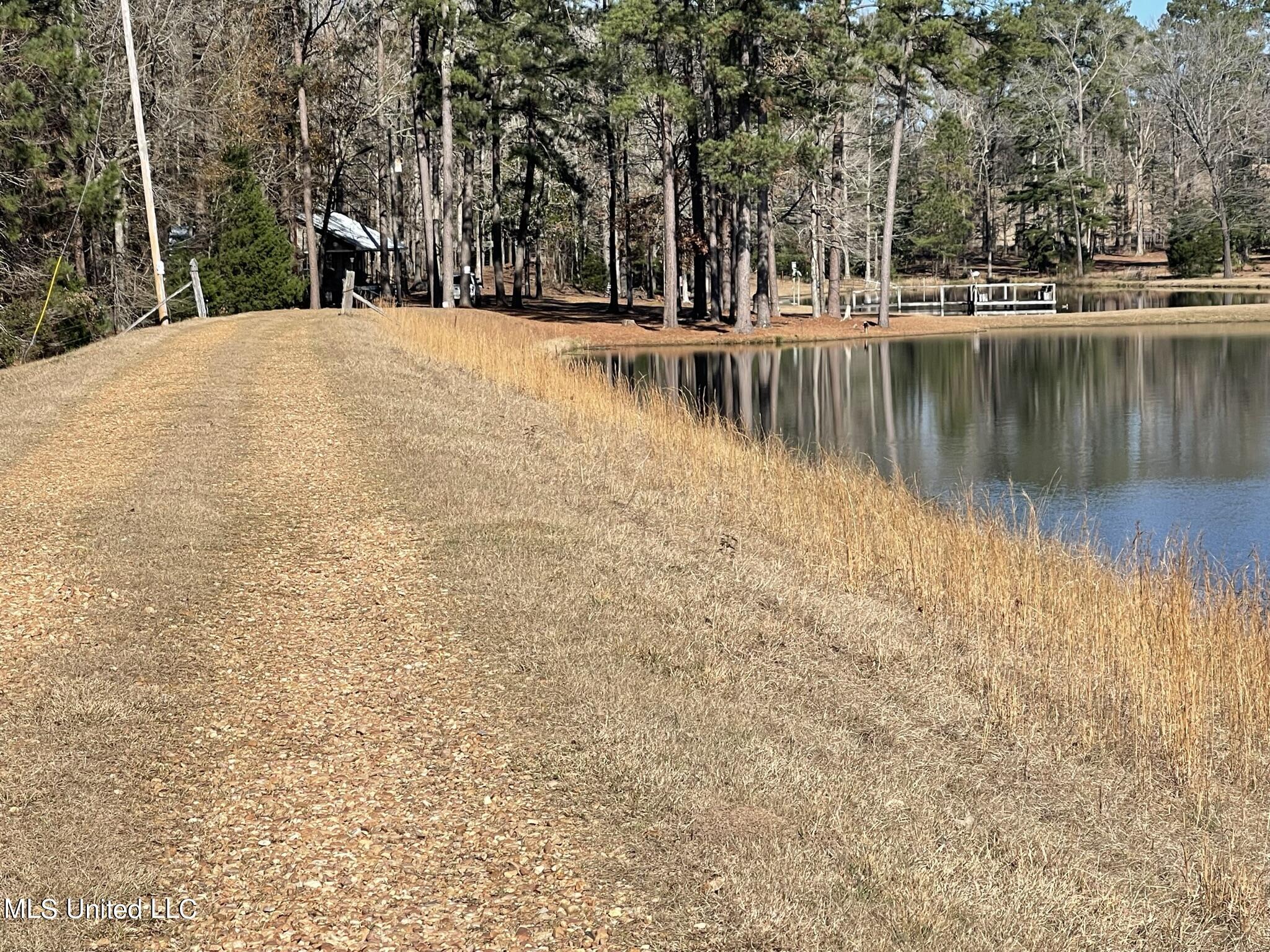 1547 Old Pearl Road Florence, MS 39073 - Photo 60 of 62 IMG_6797
