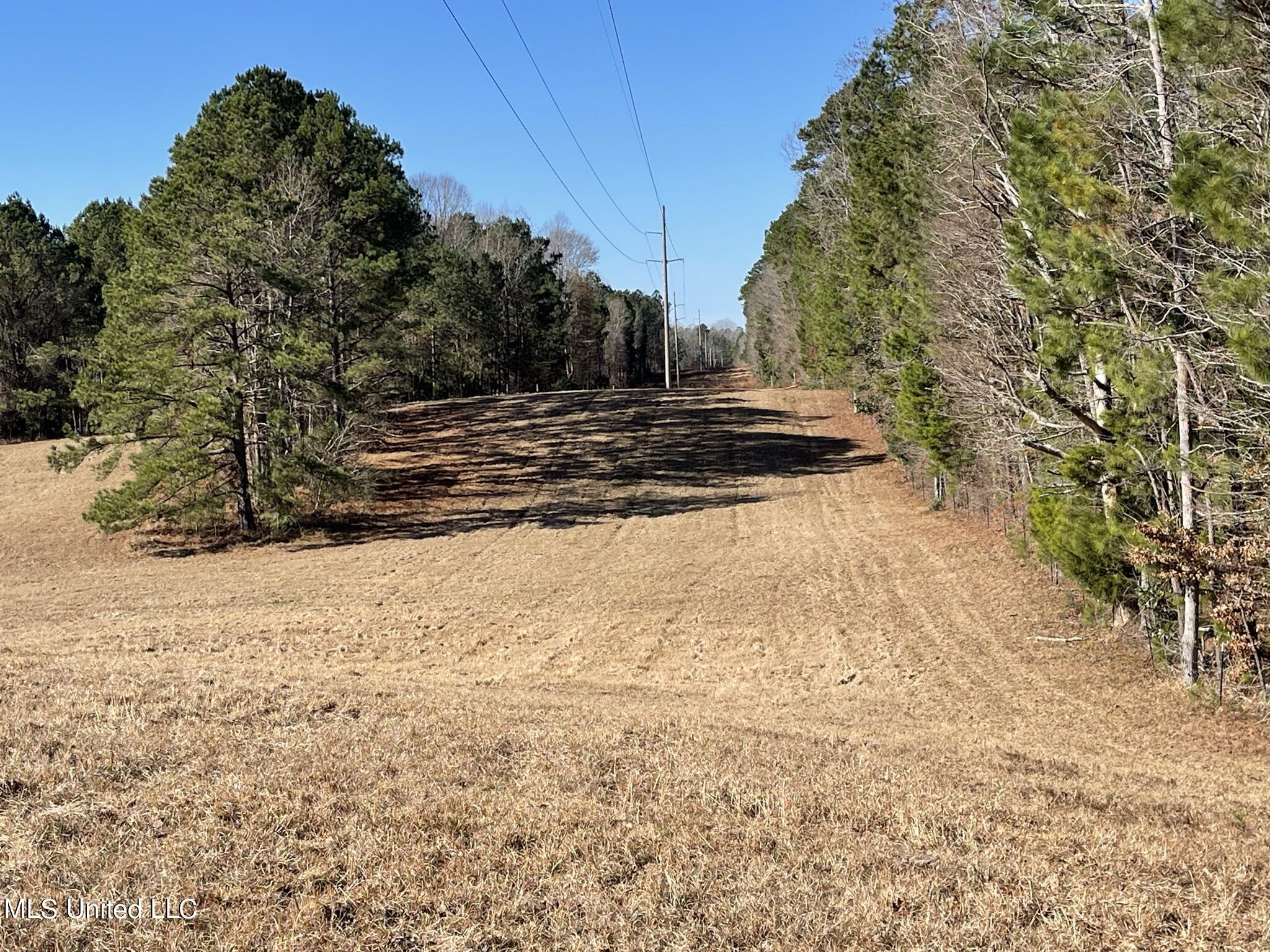1547 Old Pearl Road Florence, MS 39073 - Photo 6 of 62 IMG_6727