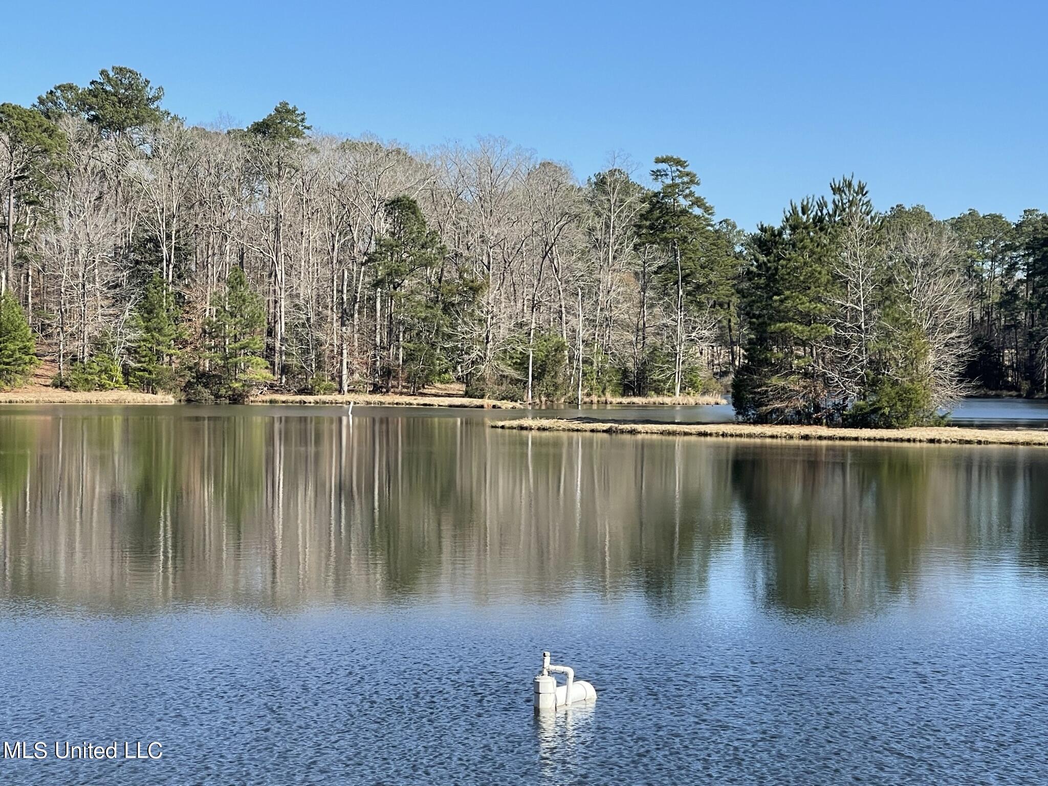 1547 Old Pearl Road Florence, MS 39073 - Photo 61 of 62 IMG_6798
